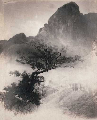 郎静山 独立寒秋